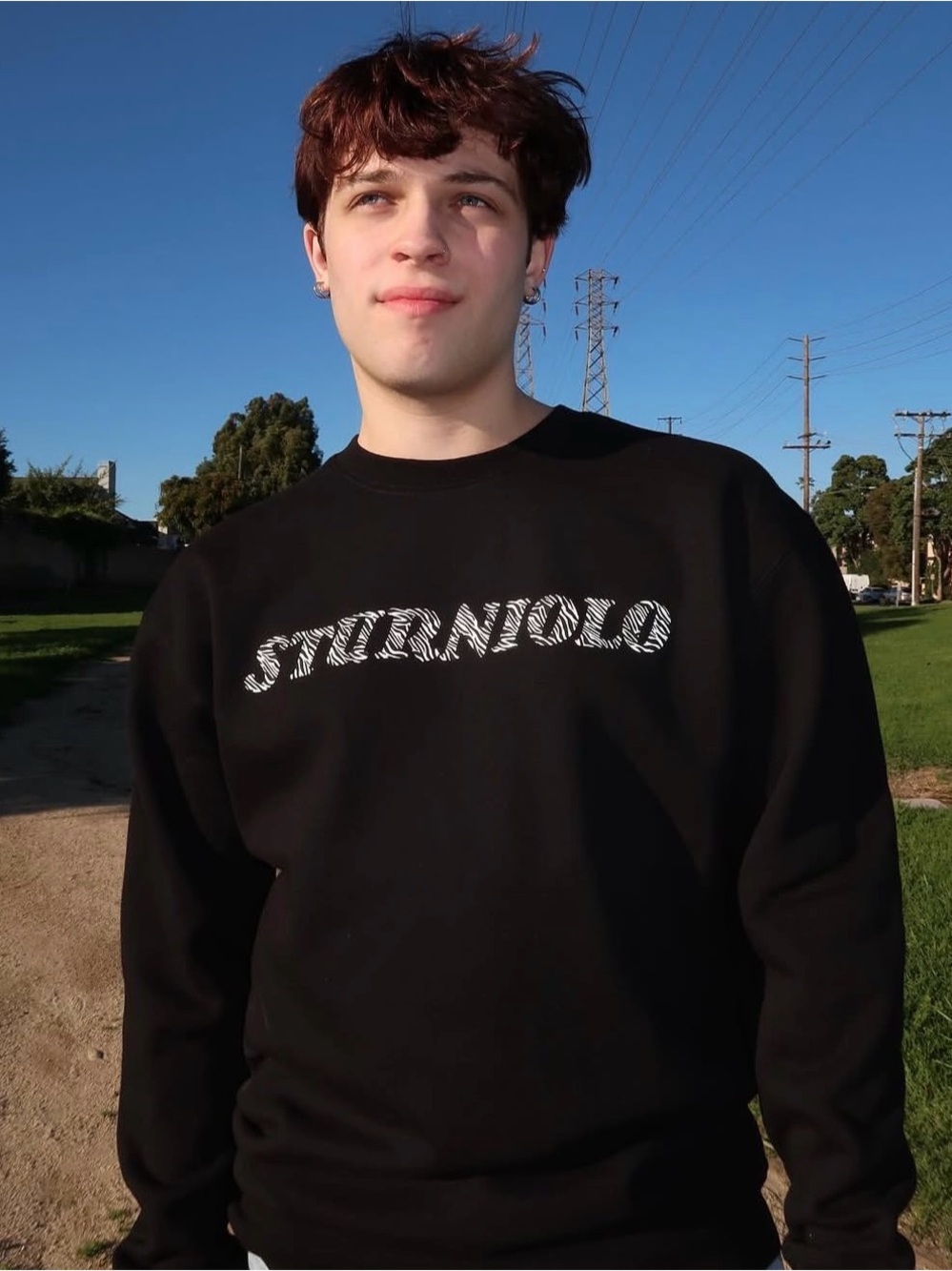 Sturniolo triplets 6 million March drop zebra crewneck